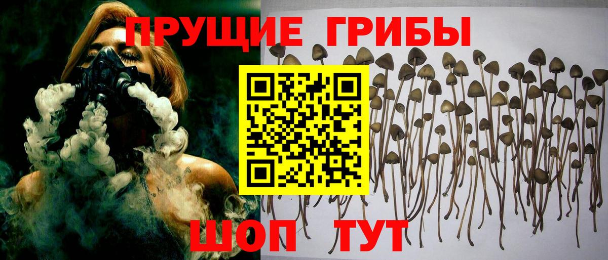 Псилоцибиновые грибы Magic Shrooms Сосновоборск
