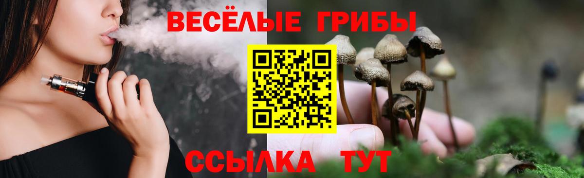 где купить   Вход с VPN  Сосновоборск  Галлюциногенные грибы Psilocybine cubensis  Галлюциногенные грибы Psilocybine cubensis 